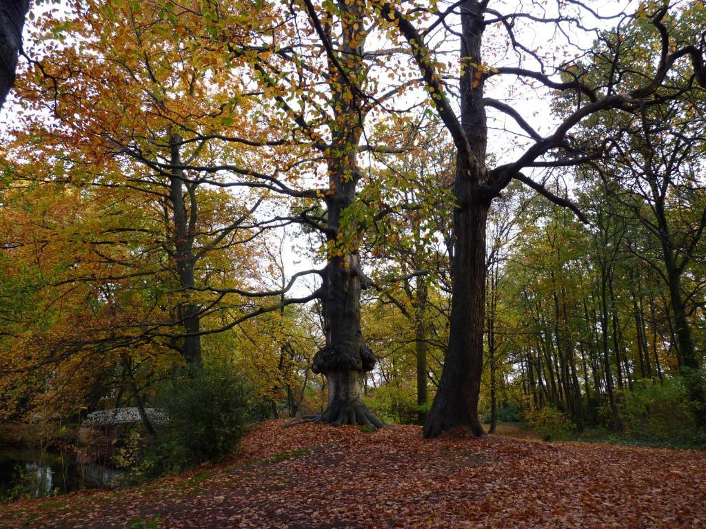 Eremyten Hof Evergem Екстериор снимка
